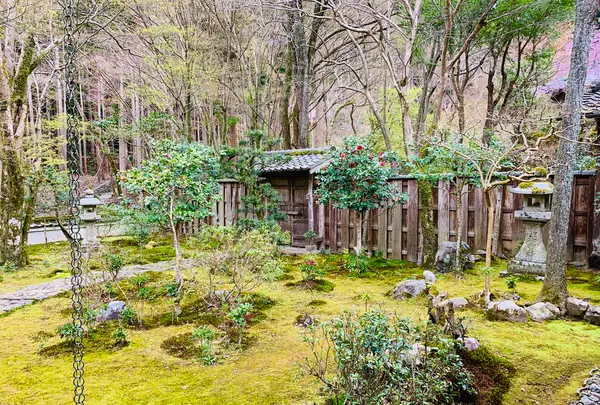 高山寺の写真・動画_image_356555