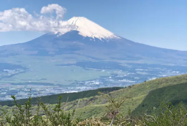 芦ノ湖スカイラインの写真・動画_image_356626
