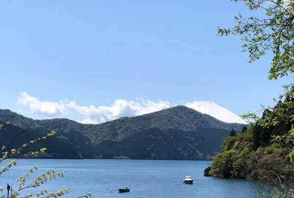 箱根関所の写真・動画_image_356636