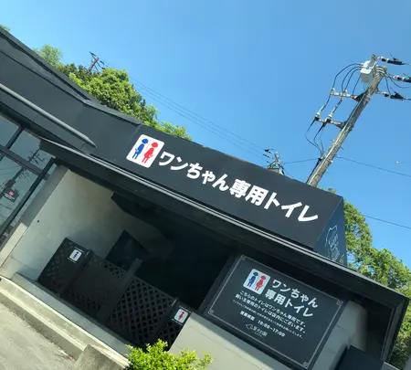 愛犬の駅の写真・動画_image_356656