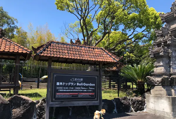 愛犬の駅の写真・動画_image_356657