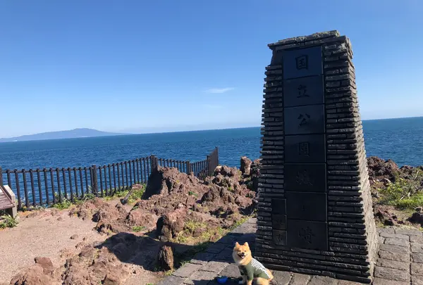 城ヶ崎海岸の写真・動画_image_356660