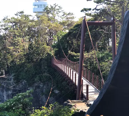 城ヶ崎海岸の写真・動画_image_356662