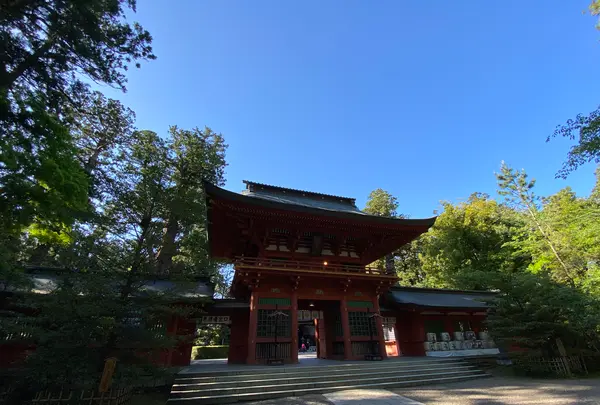 香取神宮の写真・動画_image_356816