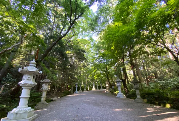 香取神宮の写真・動画_image_356818