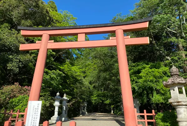 香取神宮の写真・動画_image_356821