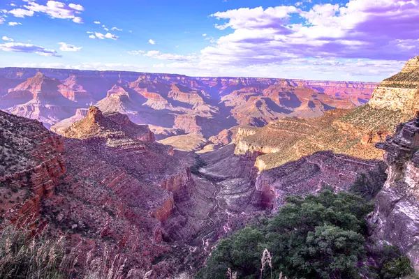 Bright Angel Trailの写真・動画_image_357164