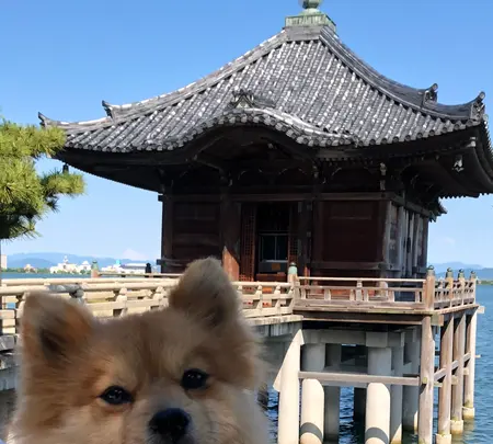 浮御堂（海門山満月寺）の写真・動画_image_358135