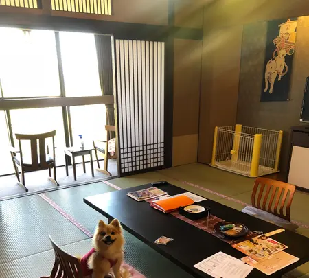 暖灯館　きくのやの写真・動画_image_358150