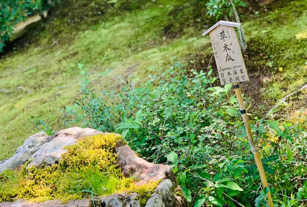 宝厳院の写真・動画_image_358474