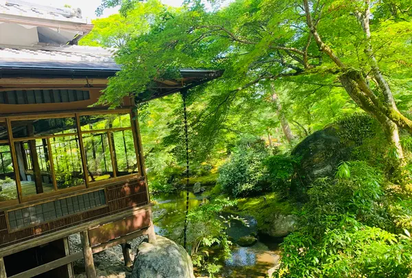 宝厳院の写真・動画_image_358484