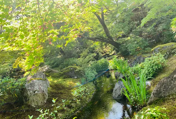 宝厳院の写真・動画_image_358490