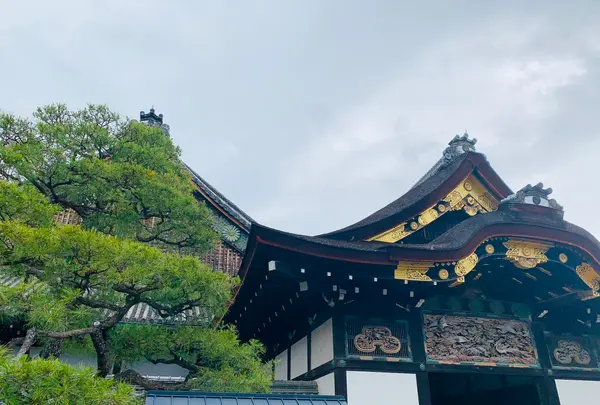 元離宮 二条城の写真・動画_image_358497