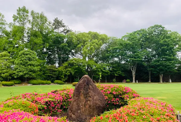 元離宮 二条城の写真・動画_image_358504