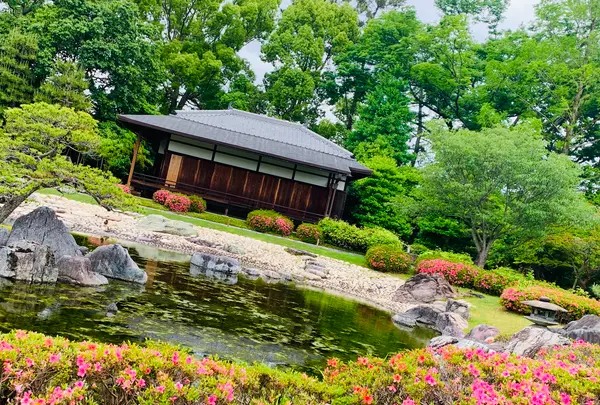 元離宮 二条城の写真・動画_image_358507