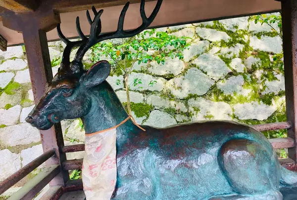 吉田神社の写真・動画_image_358508