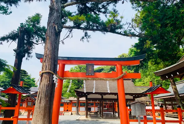 吉田神社の写真・動画_image_358516