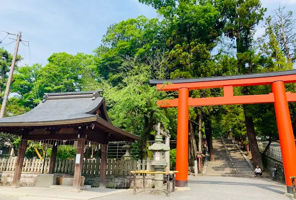 吉田神社の写真・動画_image_358518