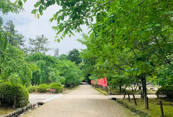 醍醐寺の写真・動画_image_358535