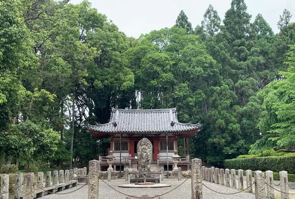 醍醐寺の写真・動画_image_358537