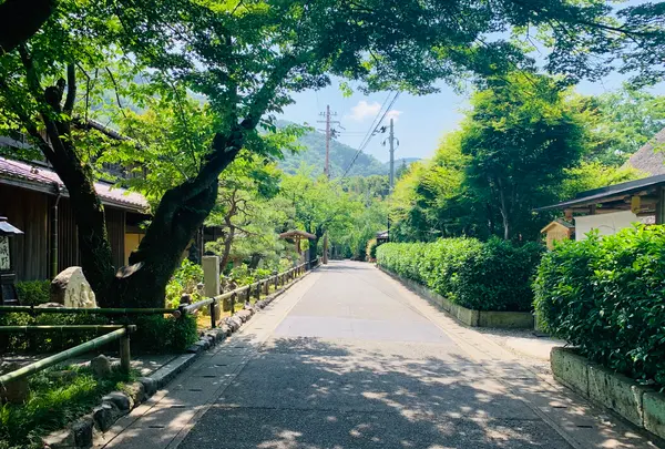 パンとエスプレッソと嵐山庭園の写真・動画_image_358754