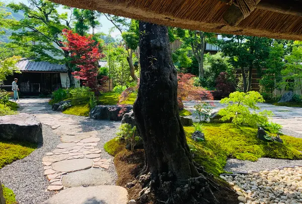 パンとエスプレッソと嵐山庭園の写真・動画_image_358755