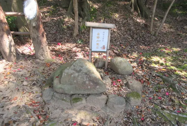 満願寺の写真・動画_image_359237