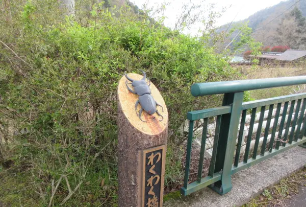 リフレッシュパーク市川の写真・動画_image_359272