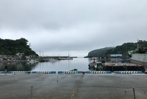 三ツ石海岸の写真・動画_image_359377