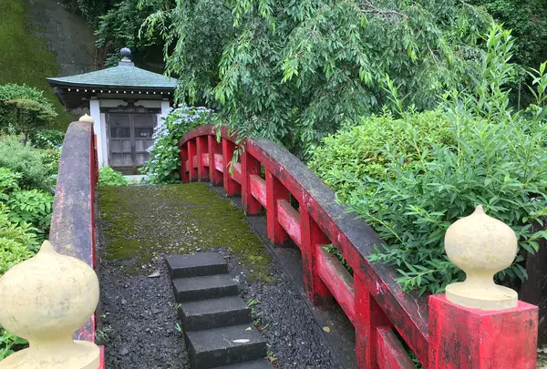 三ツ石海岸の写真・動画_image_359378