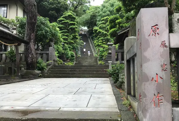 三ツ石海岸の写真・動画_image_359381