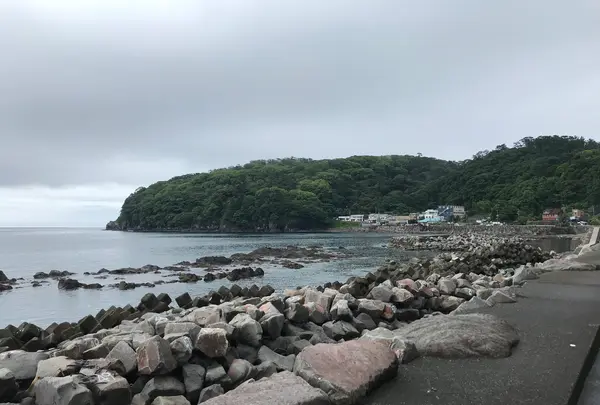 三ツ石海岸の写真・動画_image_359385