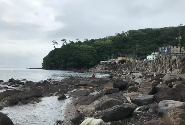 三ツ石海岸の写真・動画_image_359388