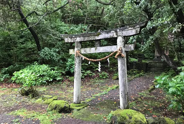 三ツ石海岸の写真・動画_image_359398