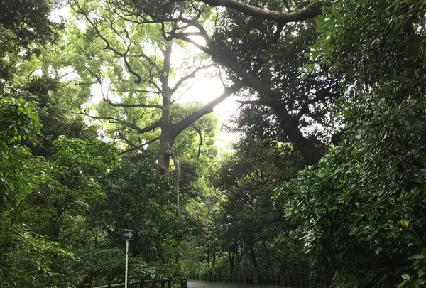 三ツ石海岸の写真・動画_image_359399