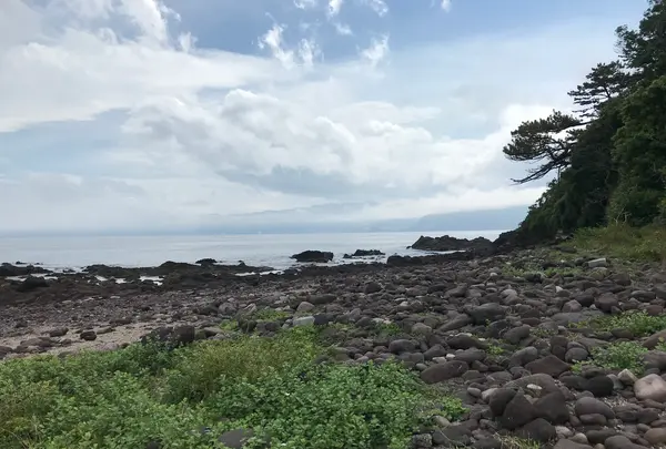 三ツ石海岸の写真・動画_image_359406