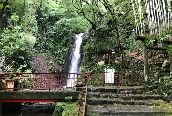 湯河原温泉の写真・動画_image_359417