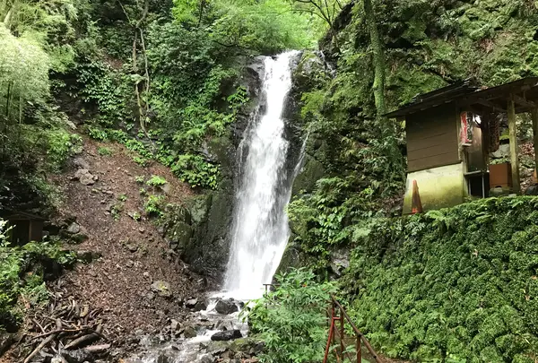 湯河原温泉の写真・動画_image_359418