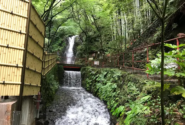 湯河原温泉の写真・動画_image_359419
