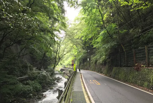 湯河原温泉の写真・動画_image_359420