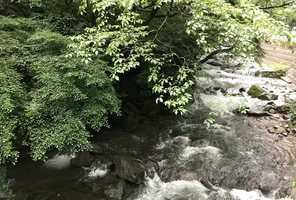 湯河原温泉の写真・動画_image_359424