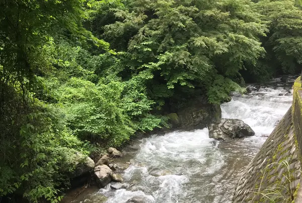 湯河原温泉の写真・動画_image_359428