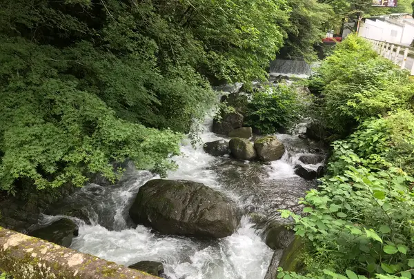 湯河原温泉の写真・動画_image_359429