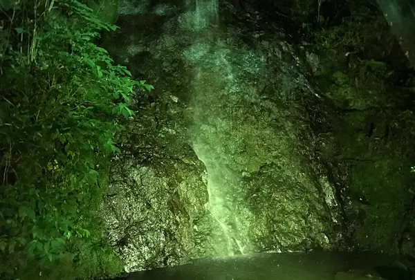 奥湯河原温泉 青巒荘（せいらんそう）の写真・動画_image_359454