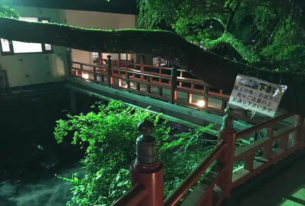 奥湯河原温泉 青巒荘（せいらんそう）の写真・動画_image_359455