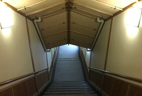 奥湯河原温泉 青巒荘（せいらんそう）の写真・動画_image_359522