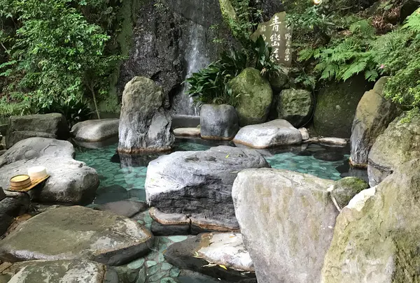 奥湯河原温泉 青巒荘（せいらんそう）の写真・動画_image_359548