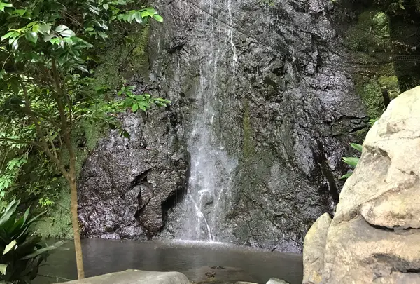 奥湯河原温泉 青巒荘（せいらんそう）の写真・動画_image_359549