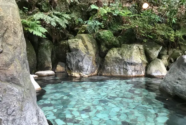 奥湯河原温泉 青巒荘（せいらんそう）の写真・動画_image_359550
