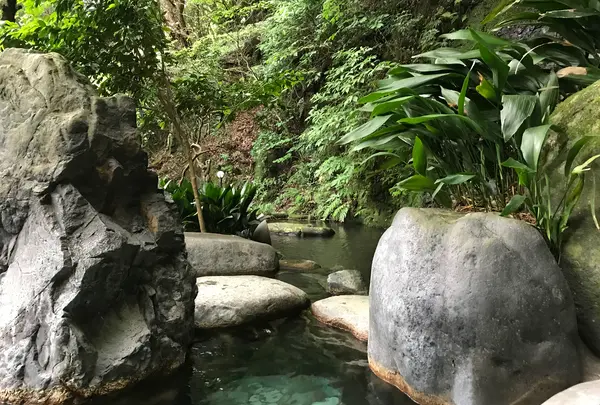 奥湯河原温泉 青巒荘（せいらんそう）の写真・動画_image_359551